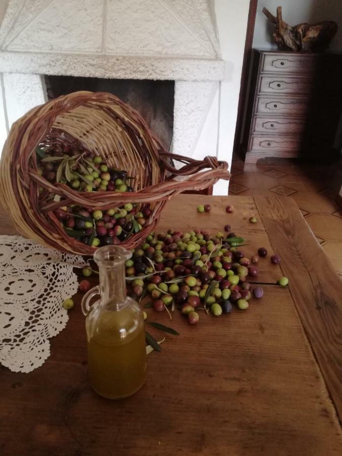منزل الضيف Norma  في Casa La Calicchia المظهر الخارجي الصورة